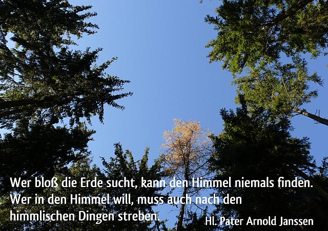 Arnold Janssen: Wer bloß die Erde sucht