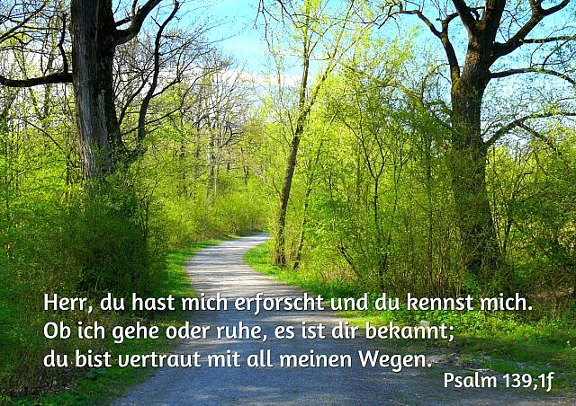 Bibel Psalm 139 1 Herr Du Hast Mich Erforscht