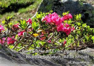 Augustinus-Alles-Schoene-auf-Er-001