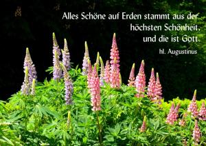 Augustinus-Alles-Schoene-auf-Erden