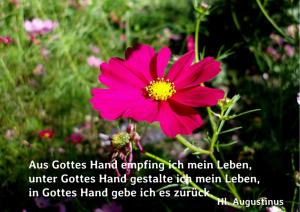 Augustinus-Aus-Gottes-Hand-empf