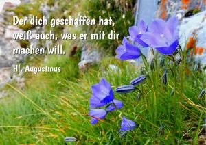 Augustinus-Der-dich-geschaffen-