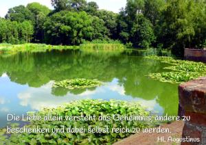 Augustinus-Die-Liebe-allein