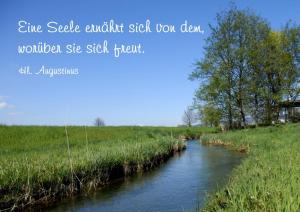 Augustinus-Eine-Seele-ernaehrt-sich-von