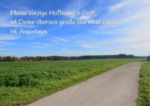 Augustinus-Meine-einzige-Hoffnu-001