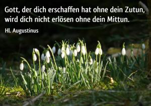 Augustinus Der-dich-erschaffen