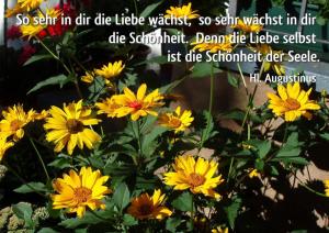 Augustinus So-sehr-in-dir-die-Liebe-waechst
