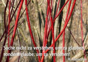 Augustinus Suche-nicht-zu-verstehen