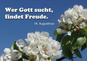 Augustinus Wer-Gott-sucht