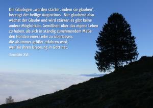 Benedikt-XVI-Die-Glaeubigen-werden-staerker1