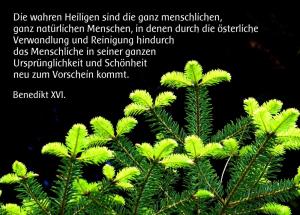 Benedikt-XVI-Die-wahren-Heiligen-sind