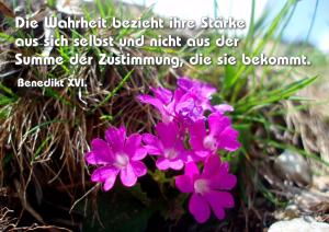 Benedikt-XVI Die-Wahrheit-bezieht-ihre-Staerke