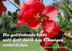 Bernhard-v-Clairvaux Die-gottliebende-Seele