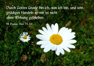 Bibel-1Kor-15-10-Durch-die-Gnade-Gottes-bin-ich
