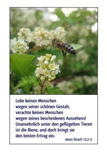 Bibel-Jesu-Sirach-11-2-lobe-keinen