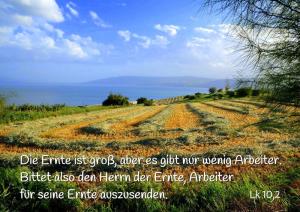 Bibel-Lk-10-2-Die-Ernte-ist-gross