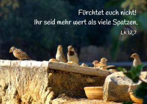 Bibel-Lk-12-7-Fuerchtet-euch-nicht