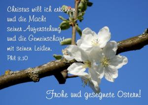 Bibel-Phil-3-10-Christus-will-ich-erkennen2