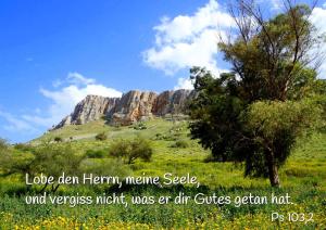 Bibel-Ps-103-2-Lobe-den-Herrn-meine-Seele