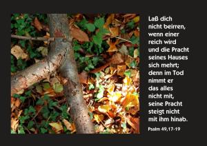 Bibel-Ps-49-17-Lass-dich-nicht-beirren