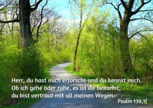 Bibel-Psalm-139-1-Herr-du-hast-mich-erforscht