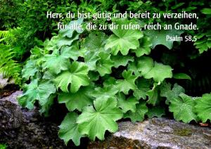 Bibel-Psalm-58-5-Her-du-bist-guetig