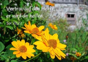 Bibel-Spr-20-22-Vertrau-auf-den-Herrn