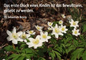 Don-Bosco das-erste-glueck
