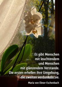 Ebner-Eschenbach Es-gibt-Menschen