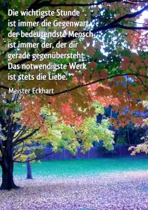 Eckehart Die-wichtigste-Stunde