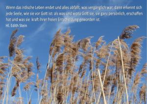 Edith-Stein-Wenn-das-irdische-L