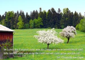 Elisabeth-v-Dijon-Im-Licht-der-Ewigkeit