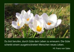 Franz-v-Sales-Du-bist-berufen-durch-Guete