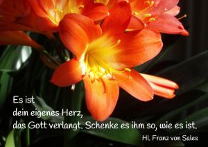 Franz-v-Sales-Es-ist-dein-eigenes-Herz-das-Gott-verlangt