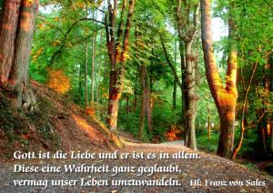 Franz-v-Sales-Gott-ist-die-Liebe