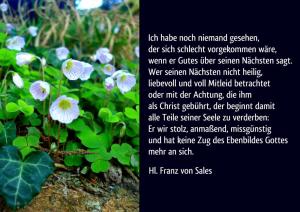 Franz-v-Sales-Ich-habe-noch-niemand-gesehen