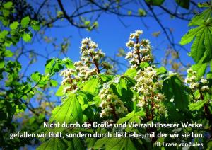 Franz-v-Sales-Nicht-durch-die-Groese-und-Vielzahl