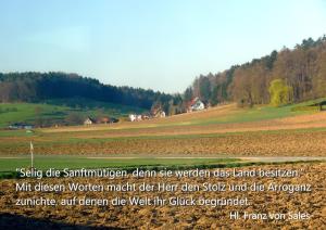 Franz-v-Sales-Selig-die-Sanftmuetigen
