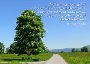 Franz-v-Sales-Sooft-es-dir-tagsueber