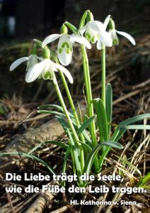 Katharina-v-siena Die-Liebe-traegt-die-Seele