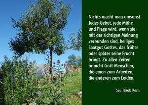 Kern-Jakob Nichts-macht-man-umsonst