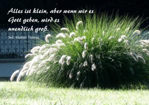 Mutter-Teresa-Alles-ist-klein