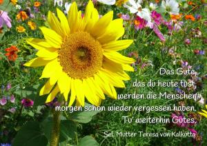 Mutter-Teresa-Das-Gute-das-du-heute-tust