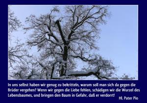 Pater-Pio-In-uns-selbst-haben-wir-genug