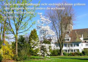 Pater-Pio-Suche-in-deinen-Handlungen