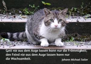 Sailer-Gott-nie-aus-dem-Auge-lassen