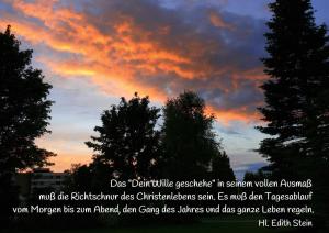 Stein-Edith-Das-Dein-Wille-geschehe