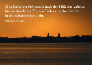 Stein-Edith-Uns-bleibt-die-Sehnsucht