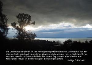 Stein-Edith Die-Geschichte-der-Seele