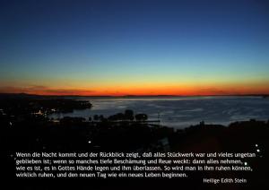 Stein-Edith Wenn-die-Nacht-kommt